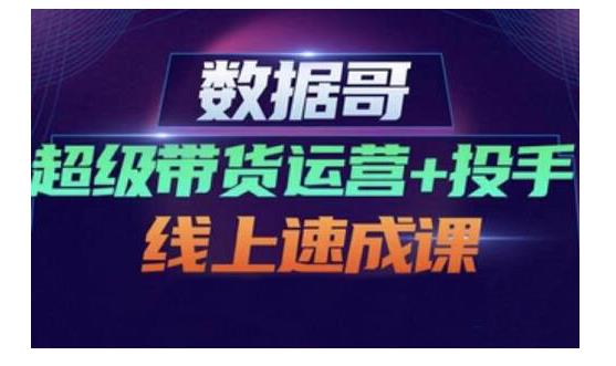 数据哥·超级带货运营 投手线上速成课，快速提升运营和熟悉学会投手技巧-文言网创