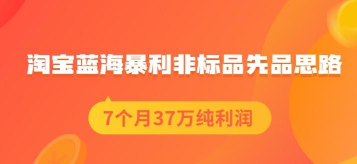 盗坤淘宝蓝海暴利非标品先品思路，7个月37万纯利润，压箱干货分享！【付费文章】-文言网创