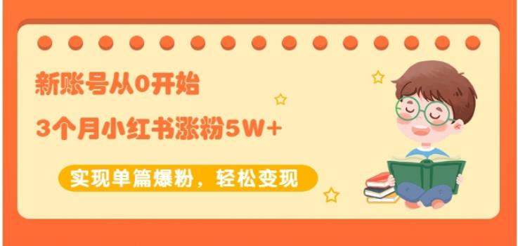 新账号从0开始3个月小红书涨粉5W 实现单篇爆粉，轻松变现（干货）-文言网创