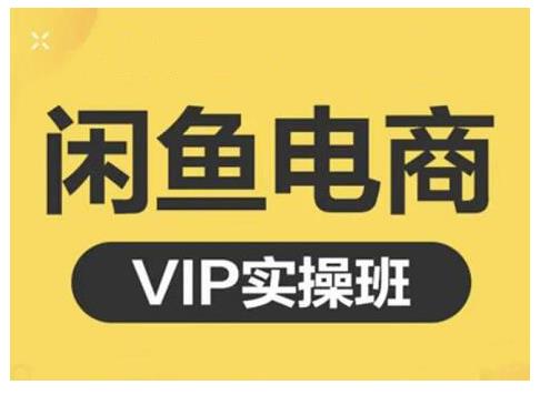 闲鱼电商零基础入门到进阶VIP实战课程，帮助你掌握闲鱼电商所需的各项技能-文言网创