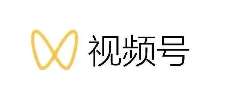 最新视频号解读，视频号真相 变现玩法【视频课程】-文言网创