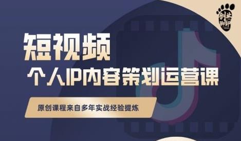 抖音短视频个人ip内容策划实操课，真正做到普通人也能实行落地-文言网创