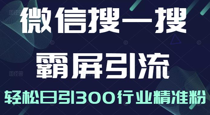 微信搜一搜霸屏引流课，打造被动精准引流系统，轻松日引300行业精准粉【无水印】-文言网创