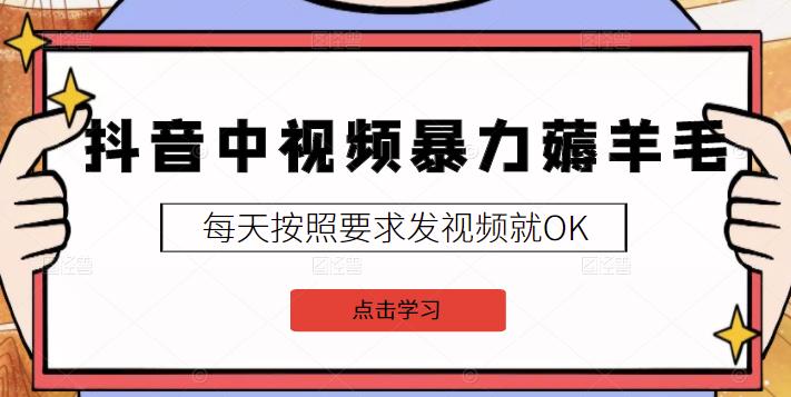 2022抖音中视频暴力薅羊毛白嫖项目：新号每天20块，老号几天几百块，可多号-文言网创