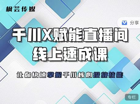 枫芸传媒-线上千川提升课，提升千川认知，提升千川投放效果-文言网创