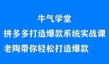 牛气学堂拼多多打造爆款系统实战课，老陶带你轻松打造爆款-文言网创