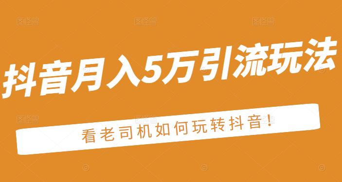 老古董·抖音月入5万引流玩法，看看老司机如何玩转抖音(附赠：抖音另类引流思路)-文言网创