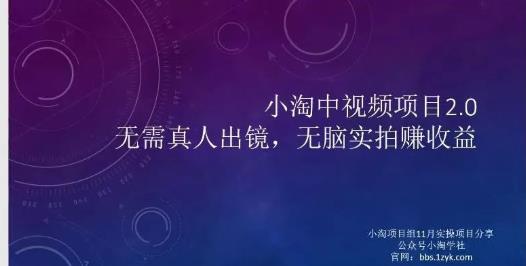 小淘项目组网赚永久会员，绝对是具有实操价值的，适合有项目做需要流程【持续更新】-文言网创