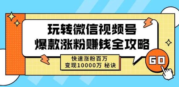 玩转微信视频号爆款涨粉赚钱全攻略，快速涨粉百万变现万元秘诀-文言网创