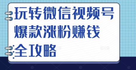 玩转微信视频号爆款涨粉赚钱全攻略，让你快速抓住流量风口，收获红利财富-文言网创