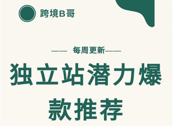 【跨境B哥】独立站潜力爆款选品推荐，测款出单率高达百分之80（每周更新）-文言网创