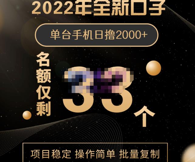 2022年全新口子，手机批量搬砖玩法，一部手机日撸2000-文言网创