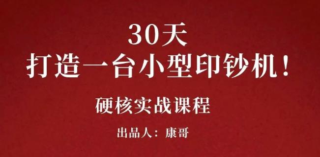 康哥30天打造一台小型印钞机：躺赚30万的项目完整复盘（视频教程）-文言网创