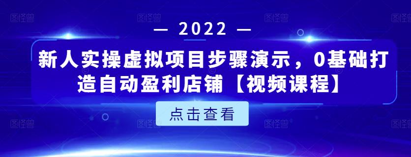 新人实操虚拟项目步骤演示，0基础打造自动盈利店铺【视频课程】-文言网创