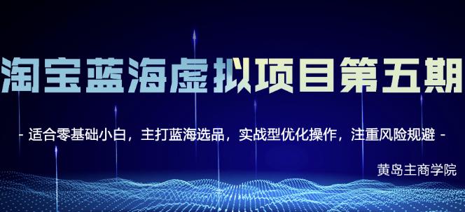 淘宝虚拟无货源3.0 4.0 5.0，适合零基础小白，主打蓝海选品，实战型优化操作-文言网创