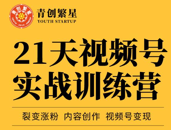 张萌21天视频号实战训练营，裂变涨粉、内容创作、视频号变现 价值298元-文言网创