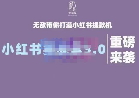 谢无敌·小红书实战营3.0，无敌带你打造小红书提款机 价值7999元-文言网创