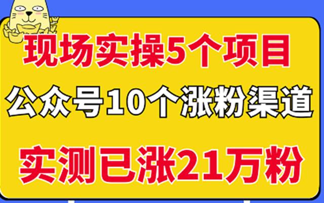 现场实操5个公众号项目，10个涨粉渠道，实测已涨21万粉！-文言网创