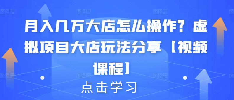 月入几万大店怎么操作？虚拟项目大店玩法分享【视频课程】-文言网创