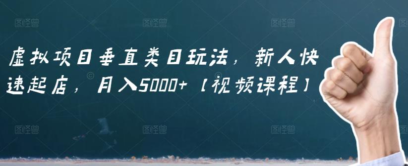 虚拟项目垂直类目玩法，新人快速起店，月入5000 【视频课程】-文言网创