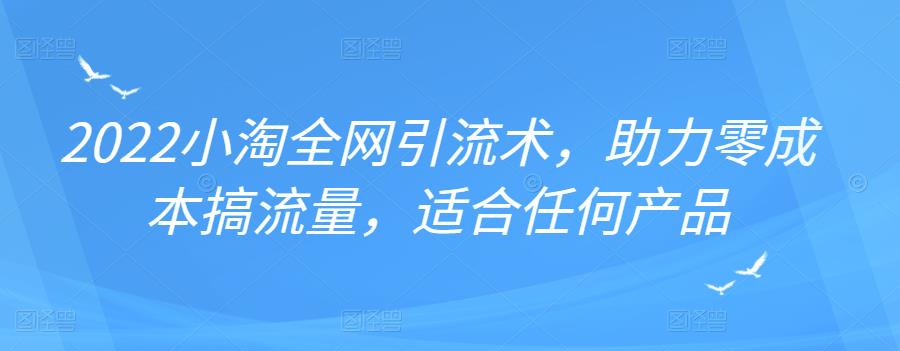 2022年小淘全网引流术，助力零成本搞流量，适合任何产品-文言网创