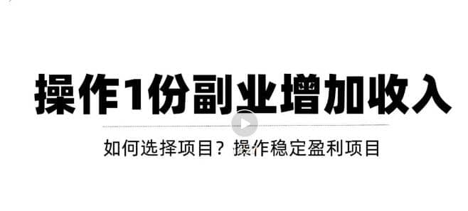 新手如何通过操作副业增加收入，从项目选择到玩法分享！【视频教程】-文言网创