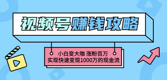 玩转微信视频号赚钱：小白变大咖涨粉百万实现快速变现1000万的现金流-文言网创