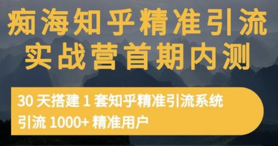 痴海知乎精准引流实战营1-2期，30天搭建1套知乎精准引流系统，引流1000 精准用户-文言网创