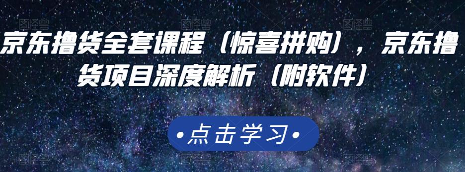 京东撸货全套课程（惊喜拼购），京东撸货项目深度解析（附软件）-文言网创