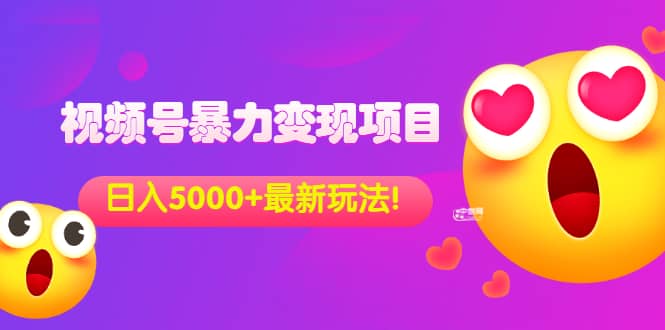 外面收费699的视频号暴力变现项目，日入5000 ，简单易操作当天见效果-文言网创