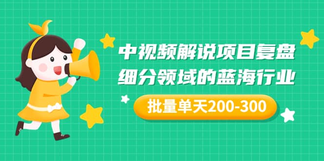 某付费文章：中视频解说项目复盘：细分领域的蓝海行业 批量单天200-300收益-文言网创