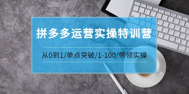 拼多多运营实操特训营：从0到1/单点突破/1-100/带领实操 价值2980元-文言网创