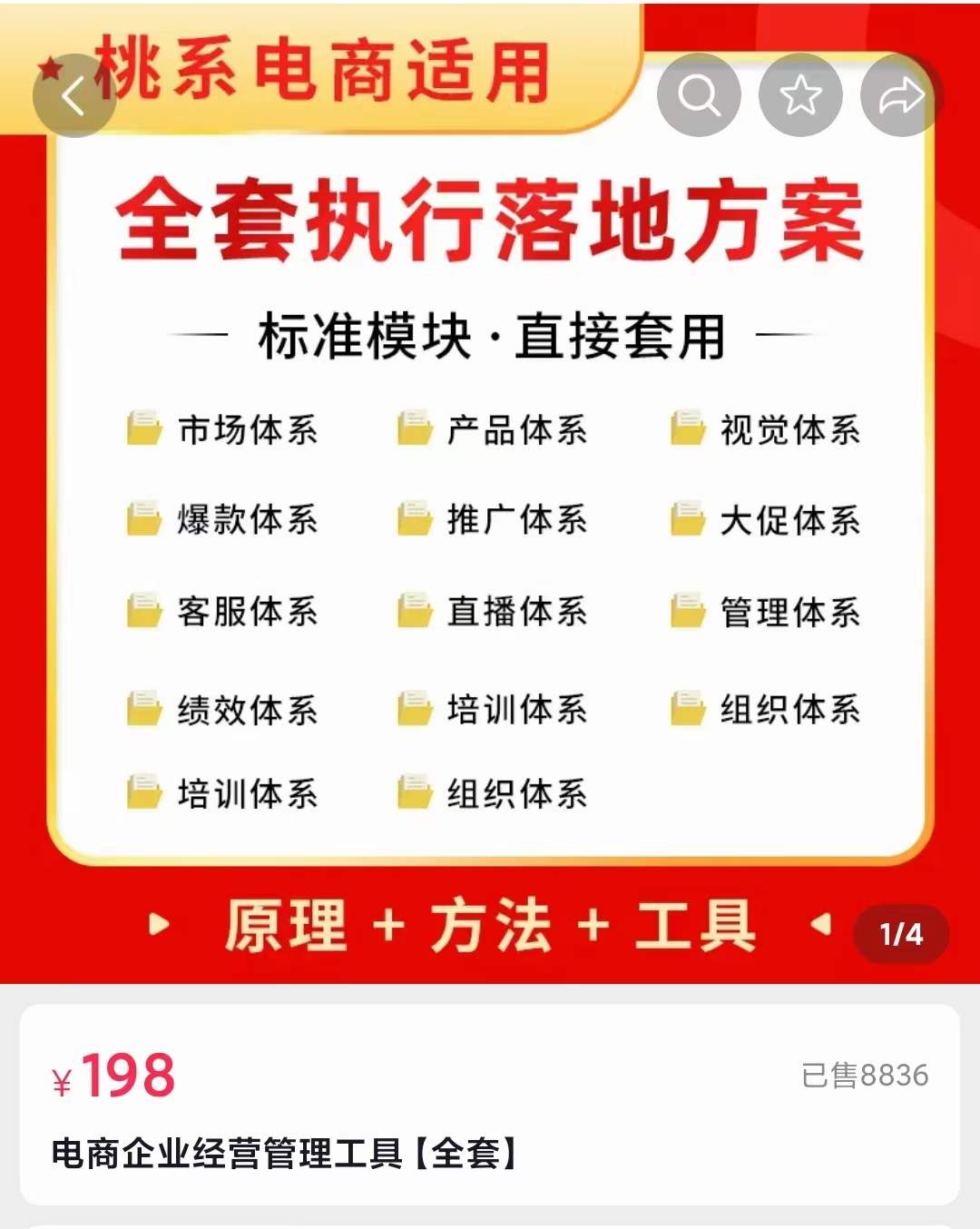 外面卖198·电商企业经营管理工具：全套执行落地方案 标准模块·直接套用-文言网创