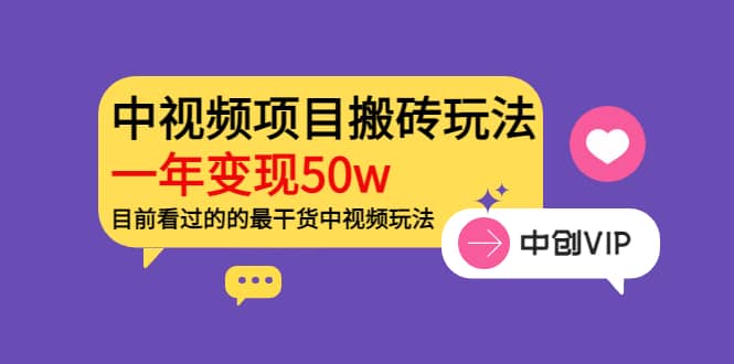 《老吴·中视频项目搬砖玩法，一年变现50w》目前看过的的最干货中视频玩法-文言网创