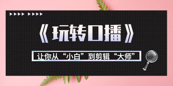 月营业额700万 大佬教您《玩转口播》让你从“小白”到剪辑“大师”-文言网创