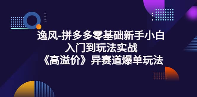 拼多多零基础新手小白入门到玩法实战《高溢价》异赛道爆单玩法实操课-文言网创