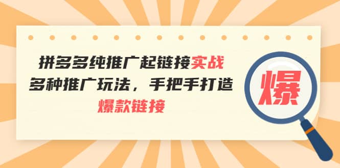 拼多多纯推广起链接实战：多种推广玩法，手把手打造爆款链接-文言网创