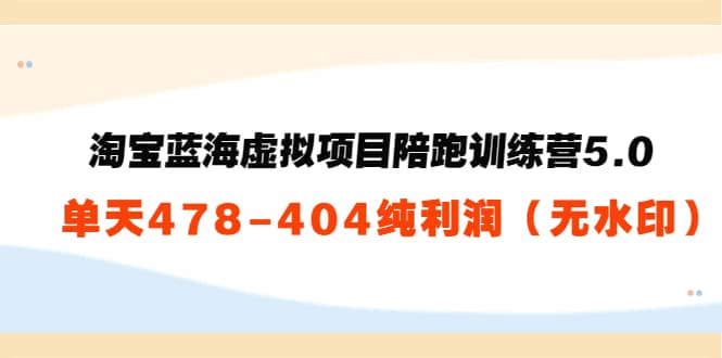 淘宝蓝海虚拟项目陪跑训练营5.0：单天478纯利润（无水印）-文言网创