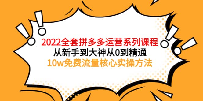 2022全套拼多多运营课程，从新手到大神从0到精通，10w免费流量核心实操方法-文言网创