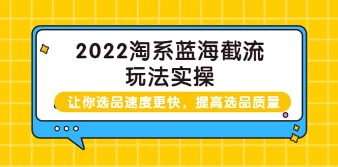 2022淘系蓝海截流玩法实操：让你选品速度更快，提高选品质量（价值599）-文言网创