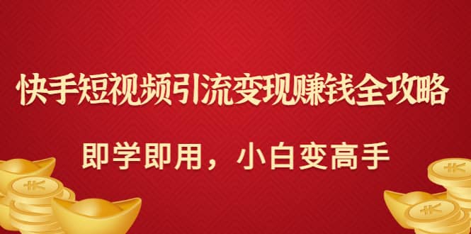 快手短视频引流变现赚钱全攻略：即学即用，小白变高手（价值980元）-文言网创