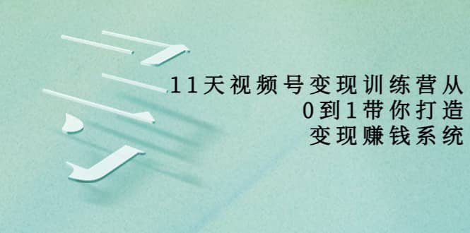 好望角·11天视频号变现训练营，从0到1打造变现赚钱系统（价值398）-文言网创