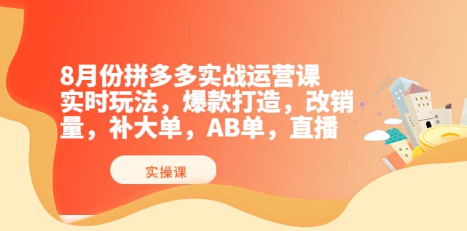 8月份拼多多实战运营课，实时玩法，爆款打造，改销量，补大单，AB单，直播-文言网创