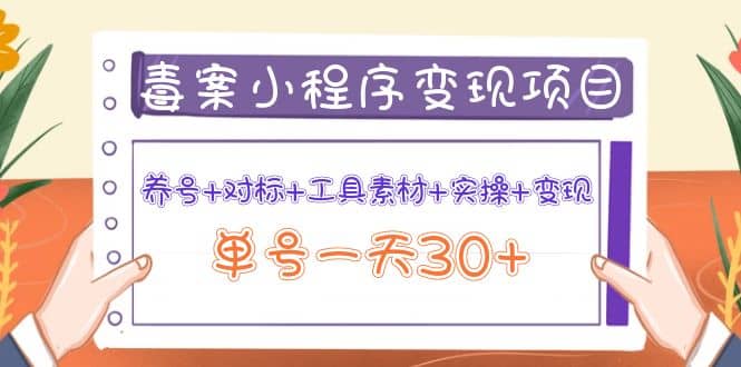 毒案小程序变现项目：养号 对标 工具素材 实操 变现-文言网创