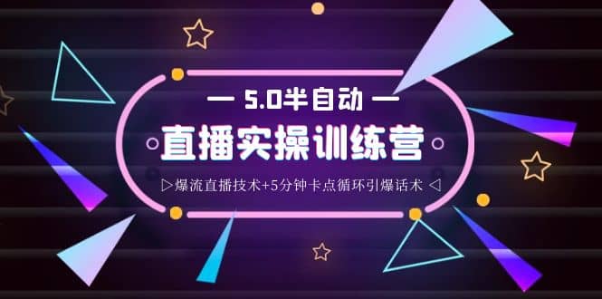 蚂蚁·5.0半自动直播2345打法，半自动爆流直播技术 5分钟卡点循环引爆话术-文言网创