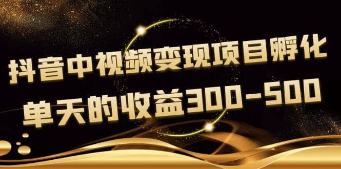 黄岛主《抖音中视频变现项目孵化》单天的收益300-500 操作简单粗暴-文言网创