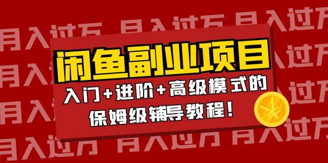 月入过万闲鱼副业项目：入门 进阶 高级模式的保姆级辅导教程-文言网创