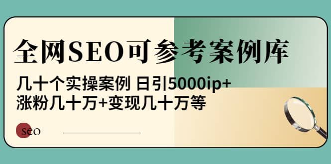 《全网SEO可参考案例库》几十个实操案例-文言网创