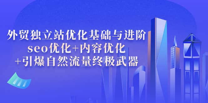 外贸独立站优化基础与进阶，seo优化 内容优化 引爆自然流量终极武器-文言网创