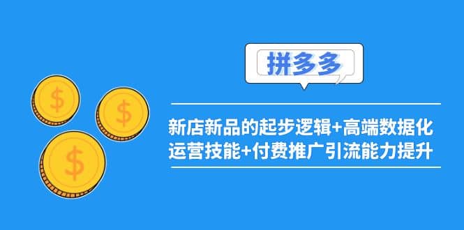 2022拼多多：新店新品的起步逻辑 高端数据化运营技能 付费推广引流能力提升-文言网创